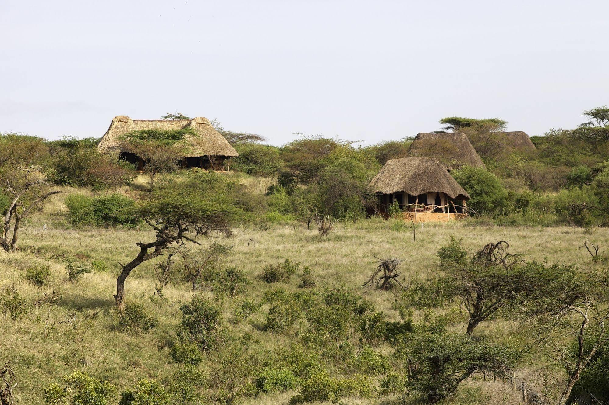 Hotel Elewana Lewa Safari Camp à Timau Extérieur photo